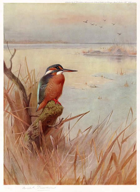 Archibald Thorburn Frozen Out Fisherman